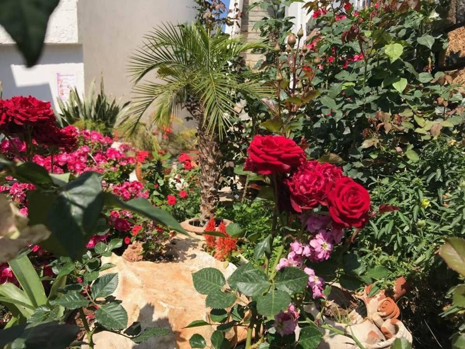 Athina Residence 兰特斯 外观 照片